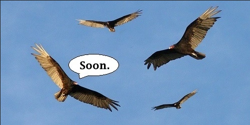 Screenshot 2022-05-19 at 22-17-54 circling-vultures2.webp (WEBP Image 500 × 250 pixels)